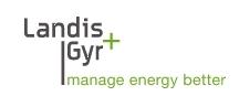 Servicios de apoyo al Departamento de Soluciones de Landis & Gyr para el proyecto sistema de telemedida y facturación de energía eléctrica